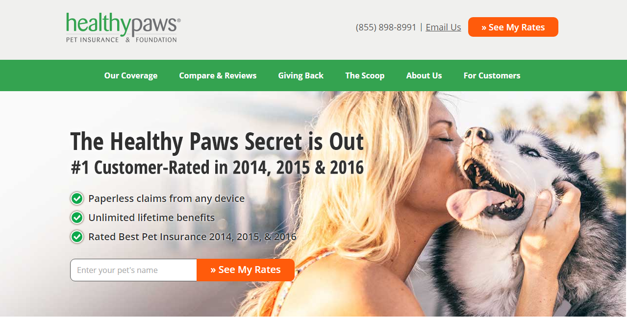 Comprehensive review of Healthy Paws pet insurance